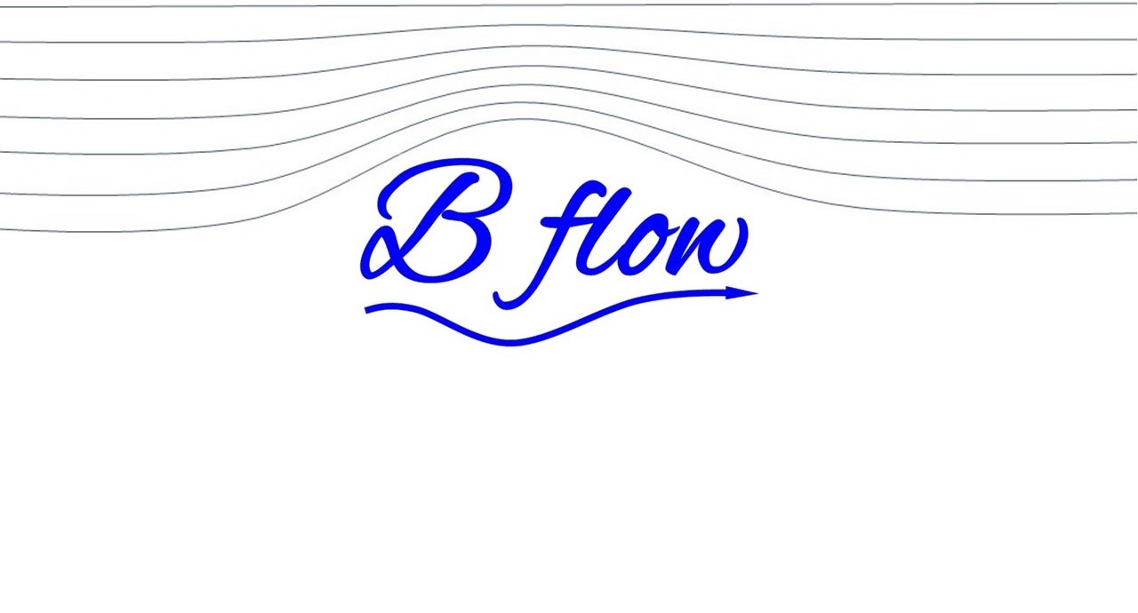 Logo_Bflow